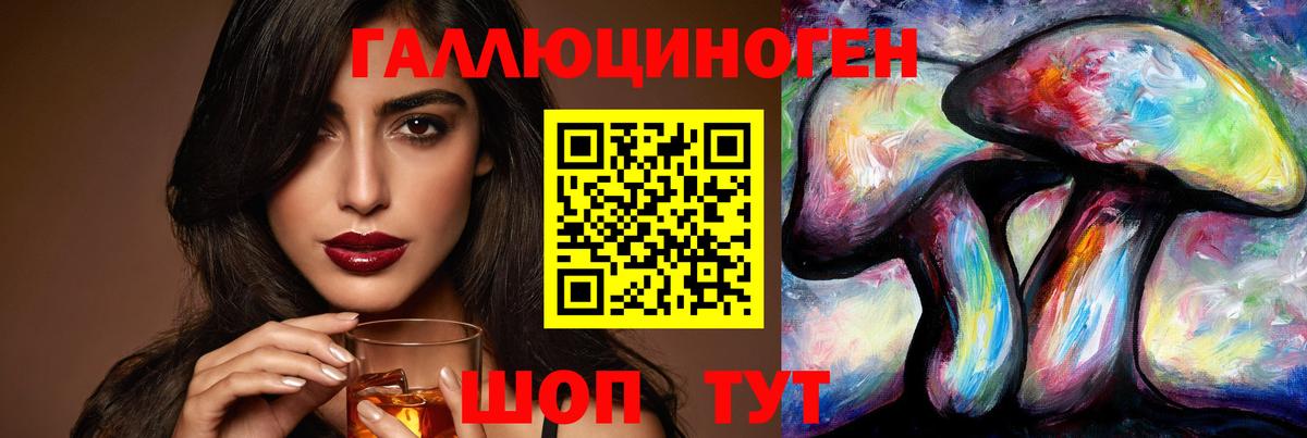 Дербент  Псилоцибиновые грибы Psilocybine cubensis  Вход с VPN 