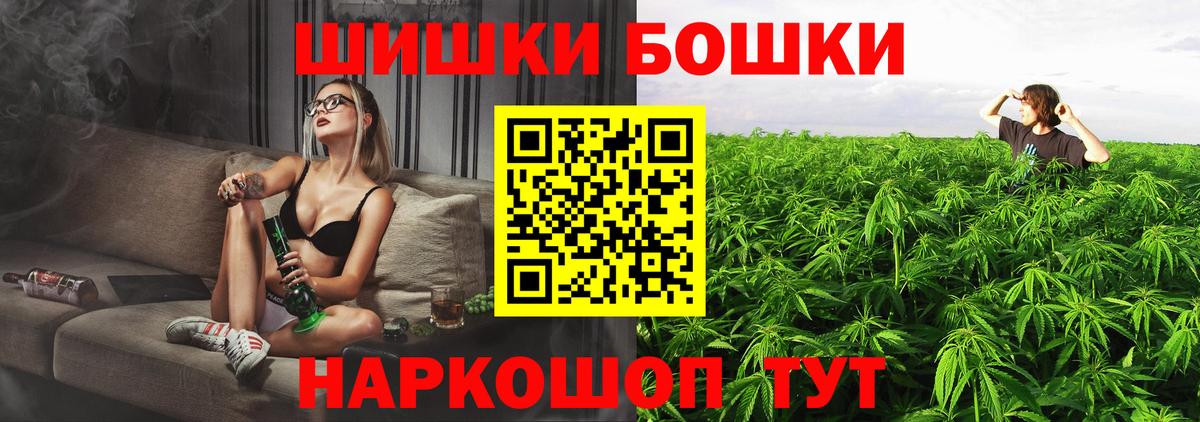 Каннабис сатива Дербент